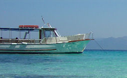 Homes in Greece Kalamata Property Real Estate Lakonia